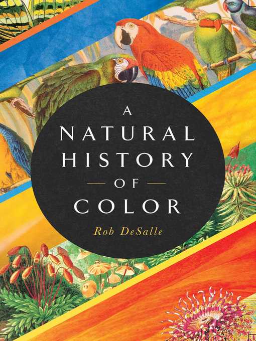 Titelbild für A Natural History of Color